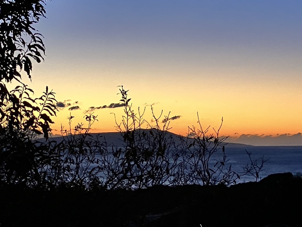 伊豆高原のワンちゃんと泊まれる温泉付き絶景コテージ/ VACANCES. izukogen / オーシャンビュー