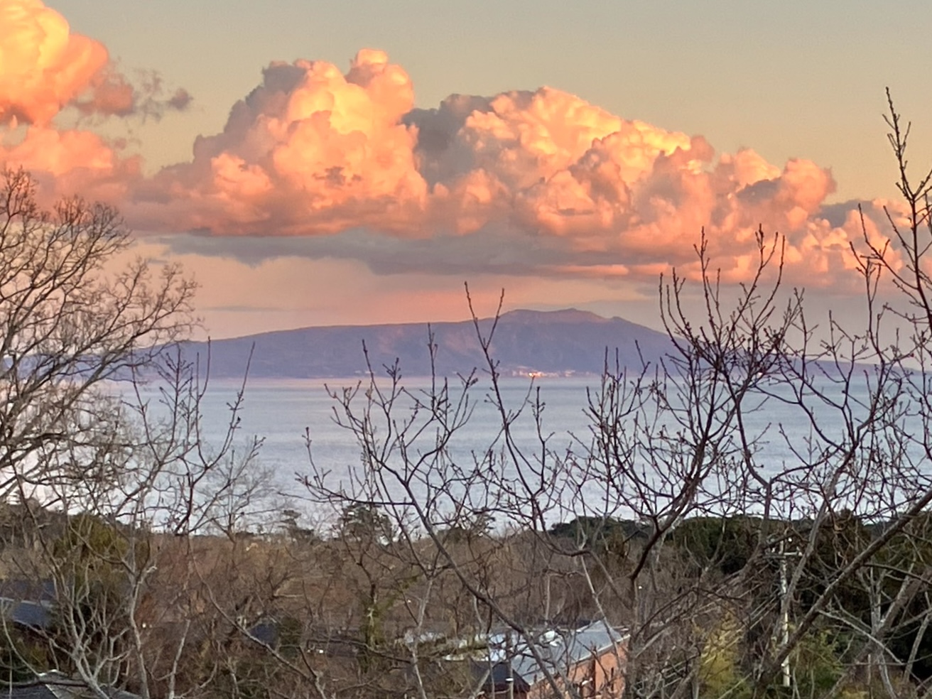 伊豆高原のワンちゃんと泊まれる温泉付き絶景コテージ/ VACANCES. izukogen / オーシャンビュー